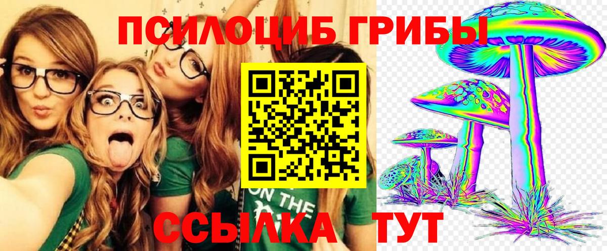 Армавир  Псилоцибиновые грибы прущие грибы  Галлюциногенные грибы прущие грибы  Вход с VPN 